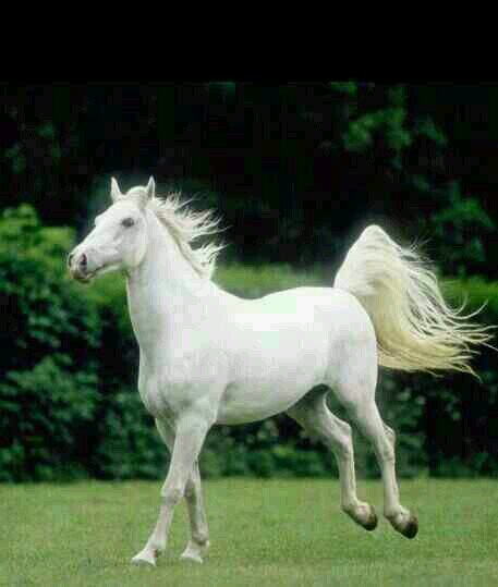 lekbas_sk's profile picture. 