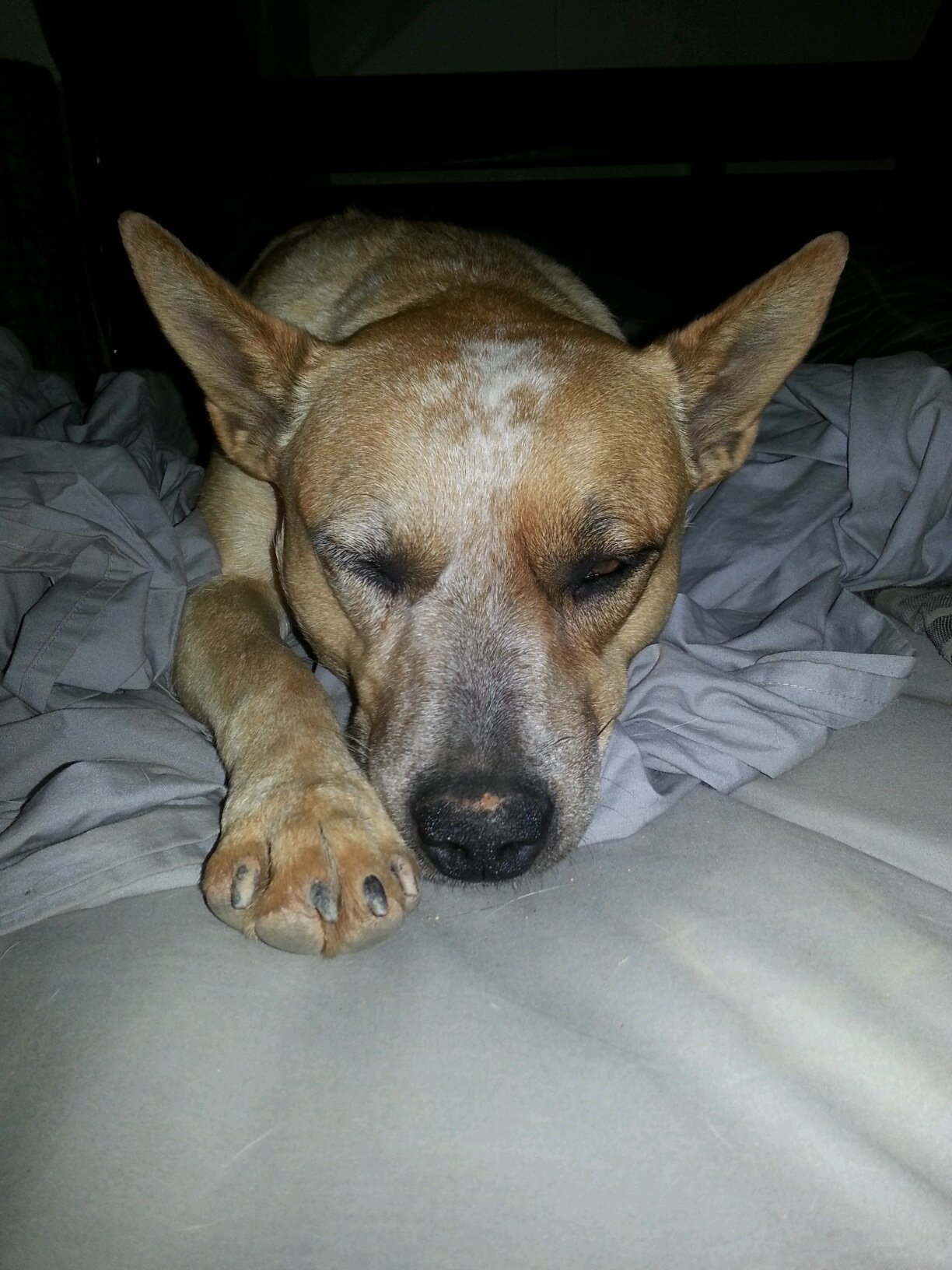 Gijjie's profile picture. Living in The Alice, best place to be.  self learning how to do pottery, who knows i might be good at it, lol