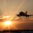 Mehmet_irez's profile image