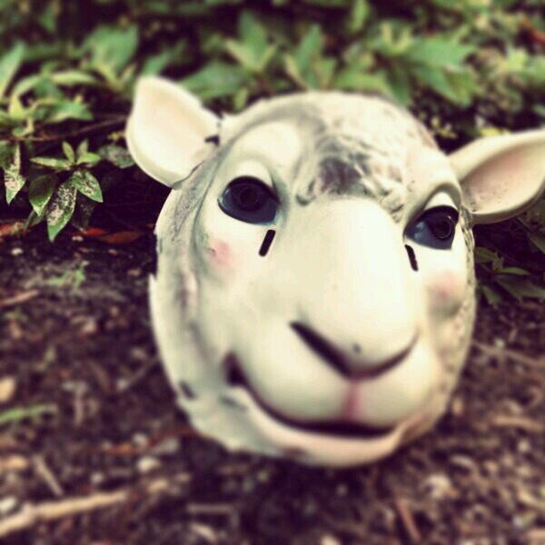 WWEBrayWyattRP's profile picture. #FollowTheBuzzards