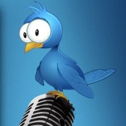 ndeke236's profile picture. Non au Centro-pessimisme. Oui à toutes les initiatives pour une meilleure image de notre pays. #Team236 #Centrafrique #Bangui #Berberati #PeaceForCAR