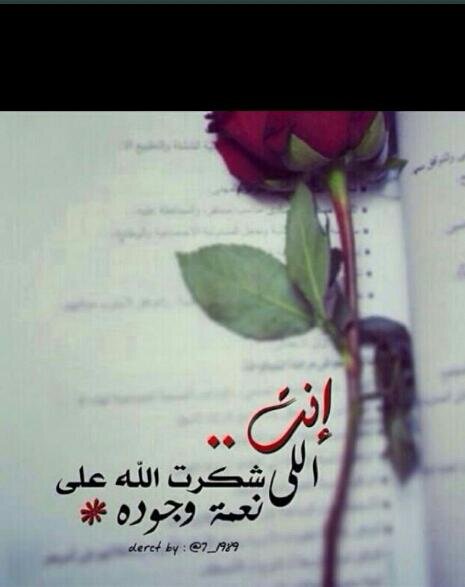 kpip8375's profile picture. 