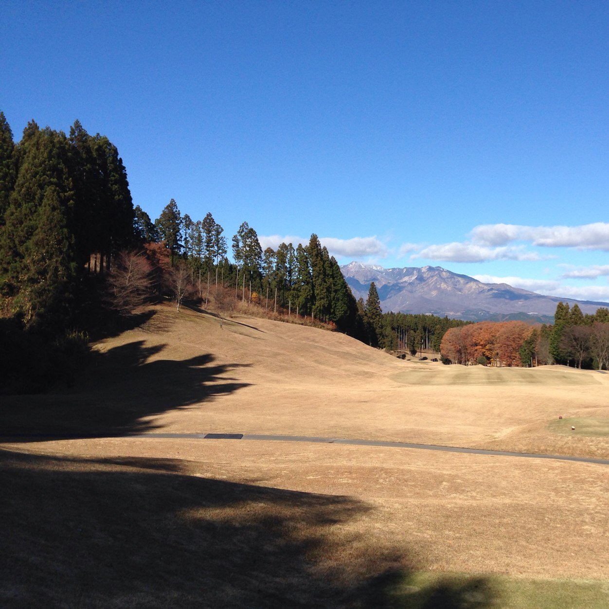 forest_3105's profile picture. 野球/ゴルフ