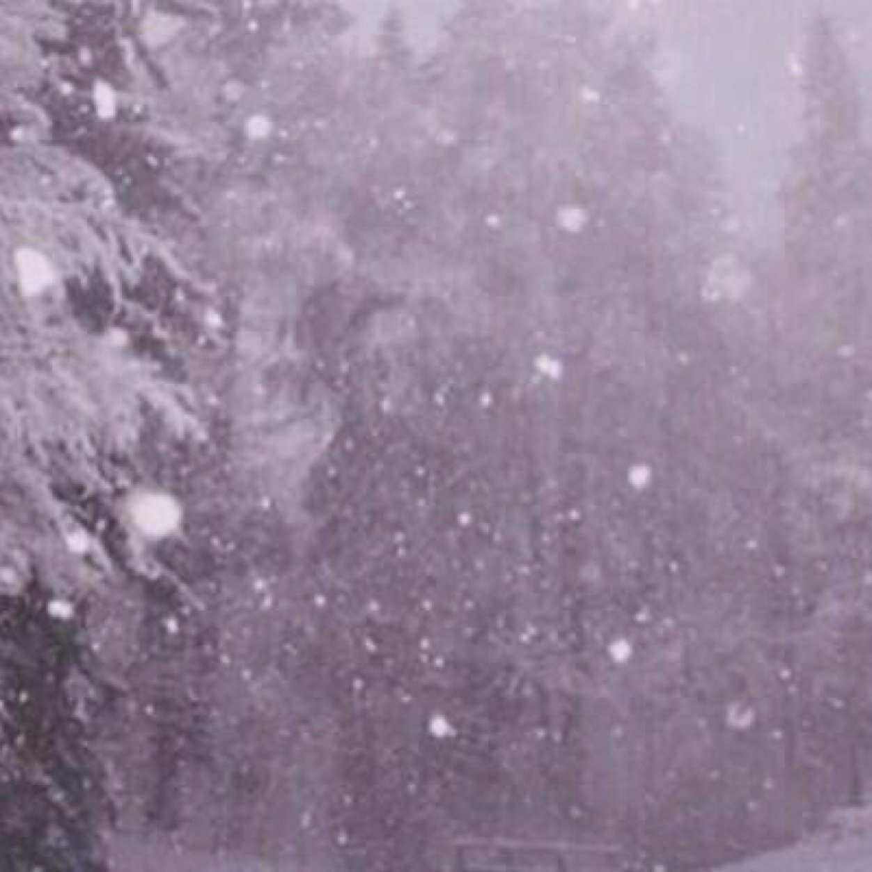 postitnote0's profile picture. 