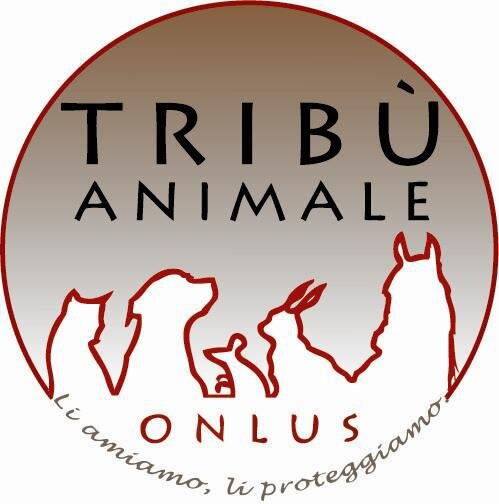 TribuAnimale's profile picture. L’Associazione Tribù Animale Onlus nasce ufficialmente nel gennaio 2013 per garantire e salvaguardare i diritti degli animali.