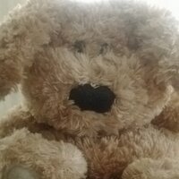 Snuffybear(@Snuffybear) 's Twitter Profile Photo