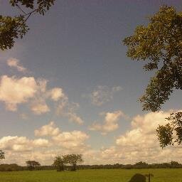 arnulfo_torres's profile picture. Sector Agropecuario