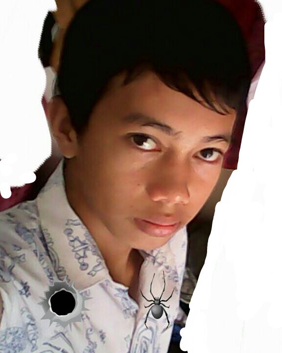 ahmadppd7's profile picture. 