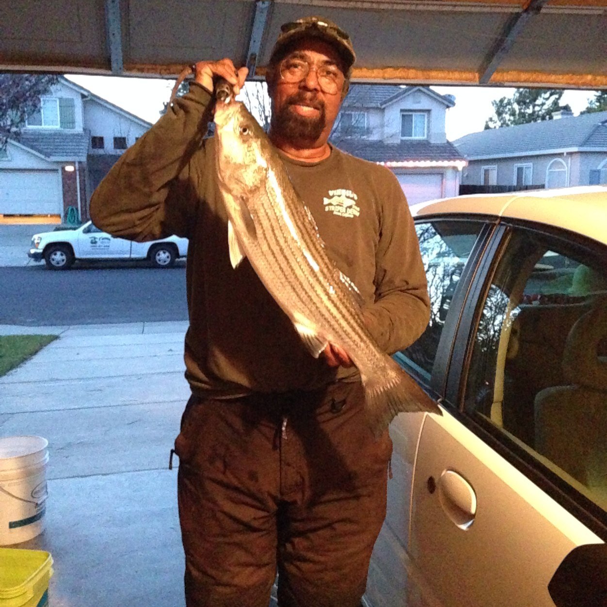 captcal1950's profile picture. 