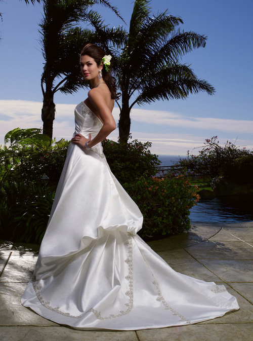 dbtc1's profile picture. Your Wedding Attire Specialists