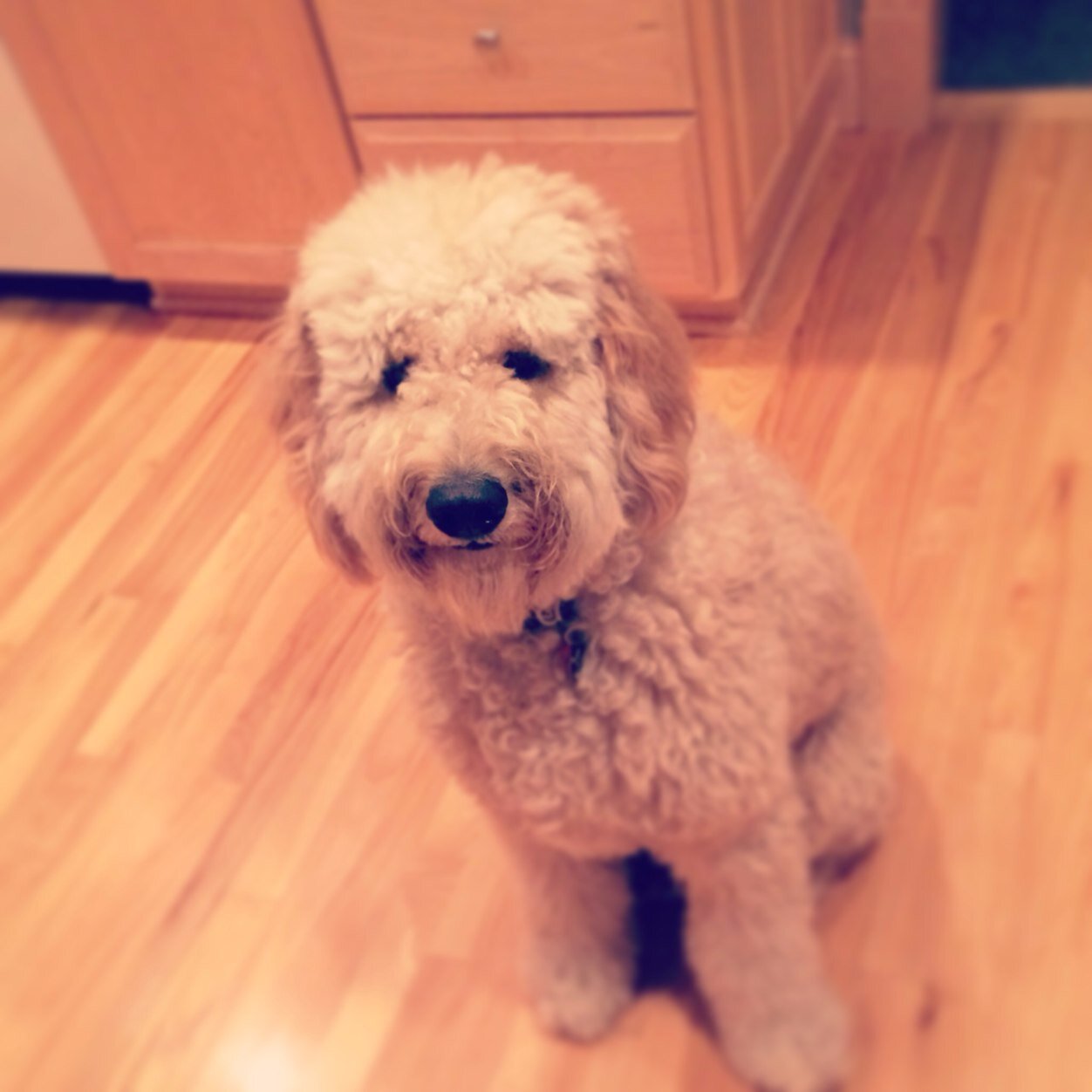 merlarson's profile picture. 