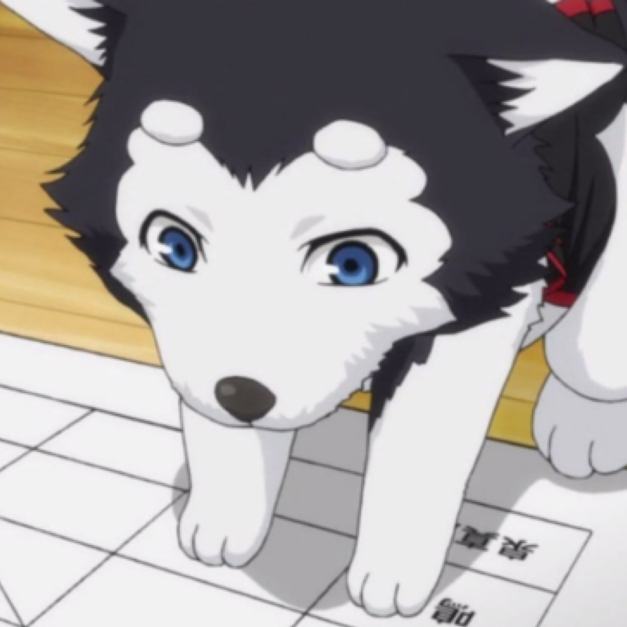 MmeongE_new's profile picture. 메이플(영웅), 보컬로이드(鏡音リン・レン), 정령왕 엘퀴네스, 쿠로바스 / 현재 밀아중(닉넴 Mmeong), 사퍼 시작 / 상처를 자주 받아서.... / 남자 하지만 여성향 ㅇㅅㅇ /기사분들 설정에 따라서 멘션중엔 다른 분들을 아서나 기사로 인식 / 탐라대화가 잦아요. / 어마금, 초전