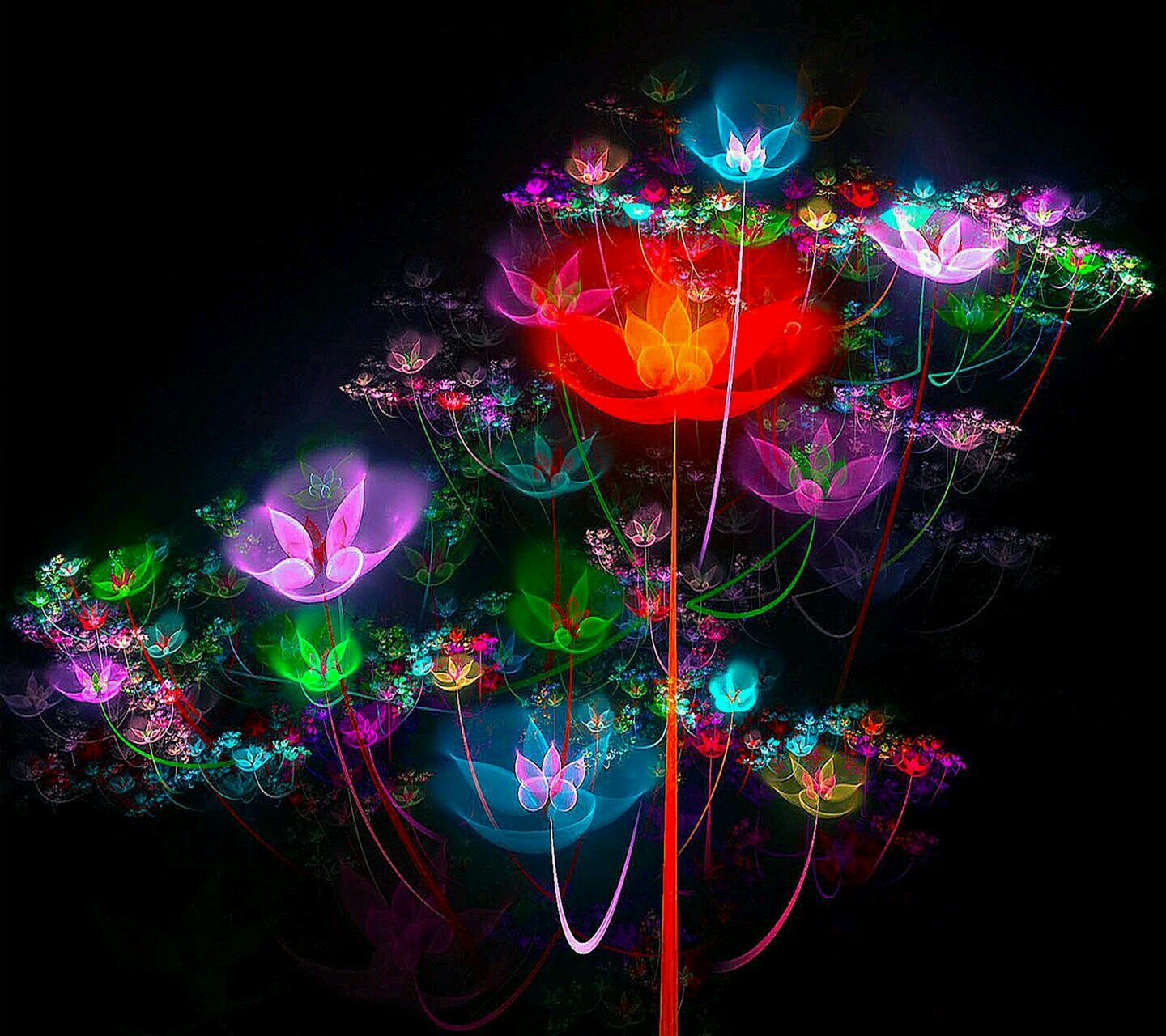 anafatah's profile picture. 