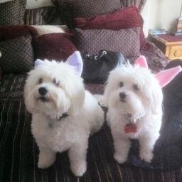 ruth1029's profile picture. 