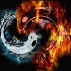 ashragorx's profile picture. 