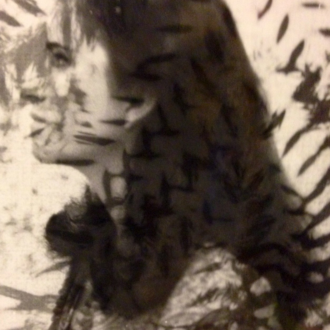 Artist and graphic designer hybrid painter, printmaker in Chicago