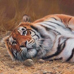 artist, illustrator and naturalist