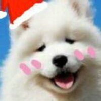 奶糕 (@naigao) 's Twitter Profile