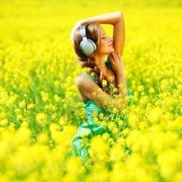 musica, solo musica