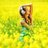 musicasolomusic's profile image