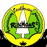 Asociación Ridimoas(@Ridimoas) 's Twitter Profile Photo