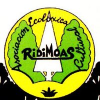 Asociación Ridimoas (@ridimoas) 's Twitter Profile