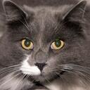 Janice Mead - @jkmooki - Twitter