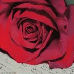 Hanan_HAN