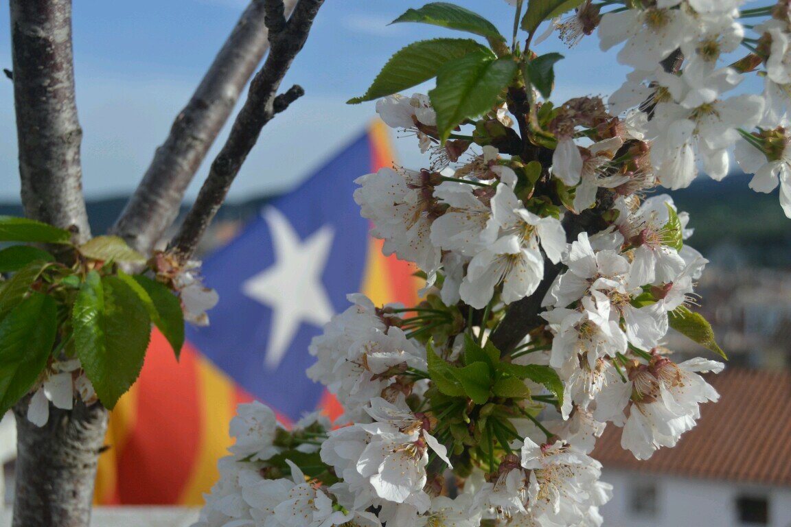 Independentista, culé, motard, amant de l'esport i la bona vida. Crec en el bon fer de la gent.