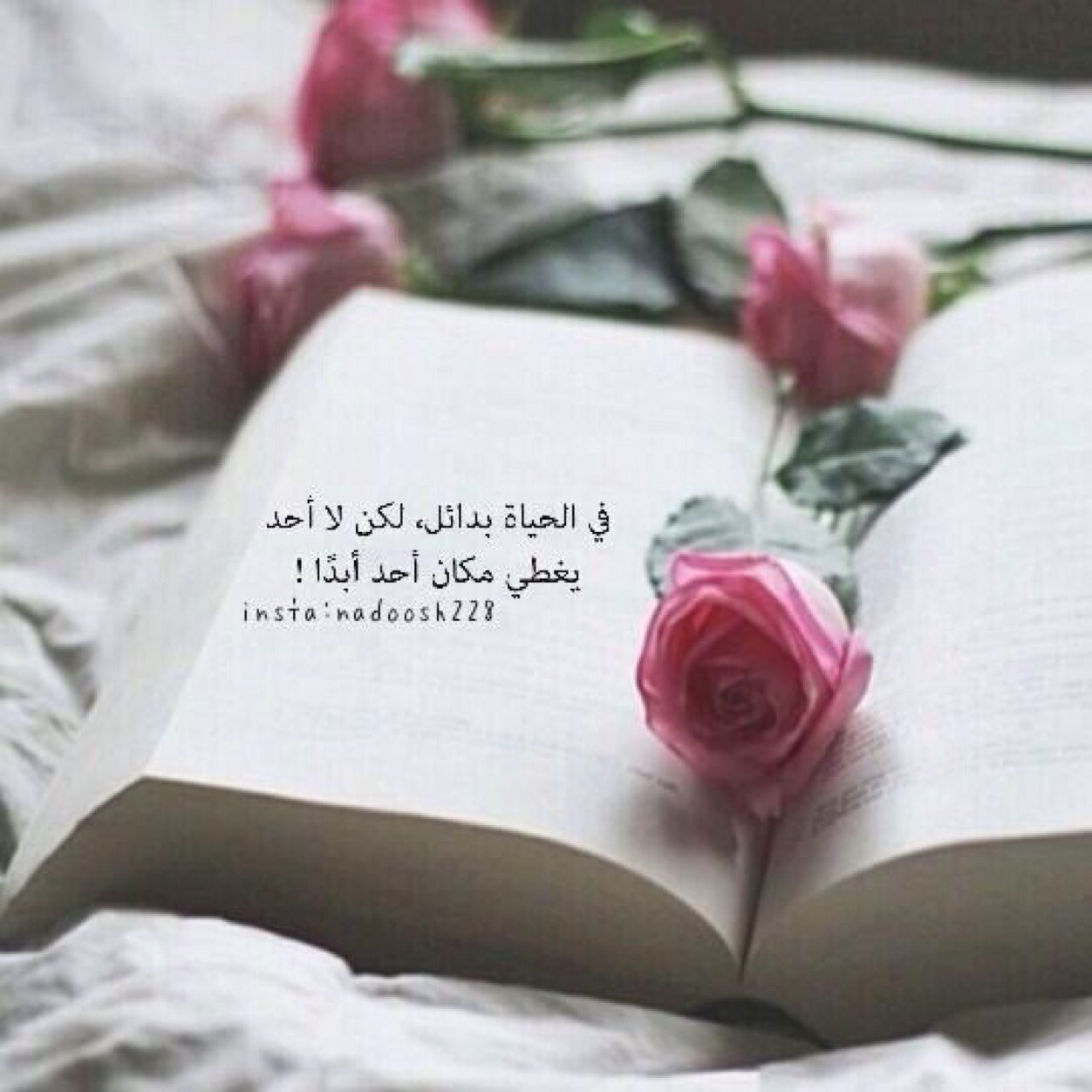 الحياة أمل 💎فمن فقد الأمل فقد الحياة ..