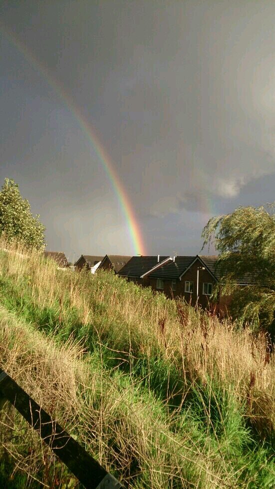 vickysmalll's profile picture. 