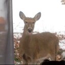 Kathy Caputo - @KathyCaputo1 - Twitter