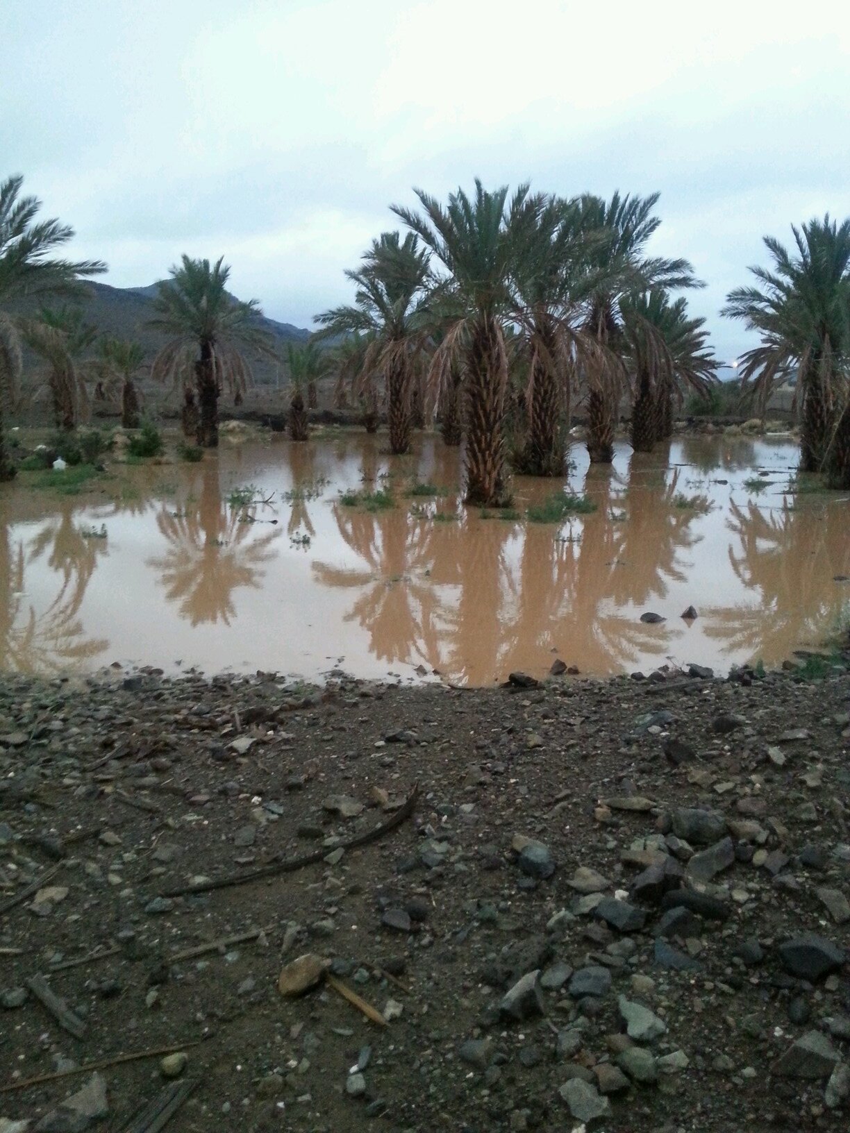 قلوب الناس ليست الجنة فلا تتعب نفسك من اجل البقاء فيها