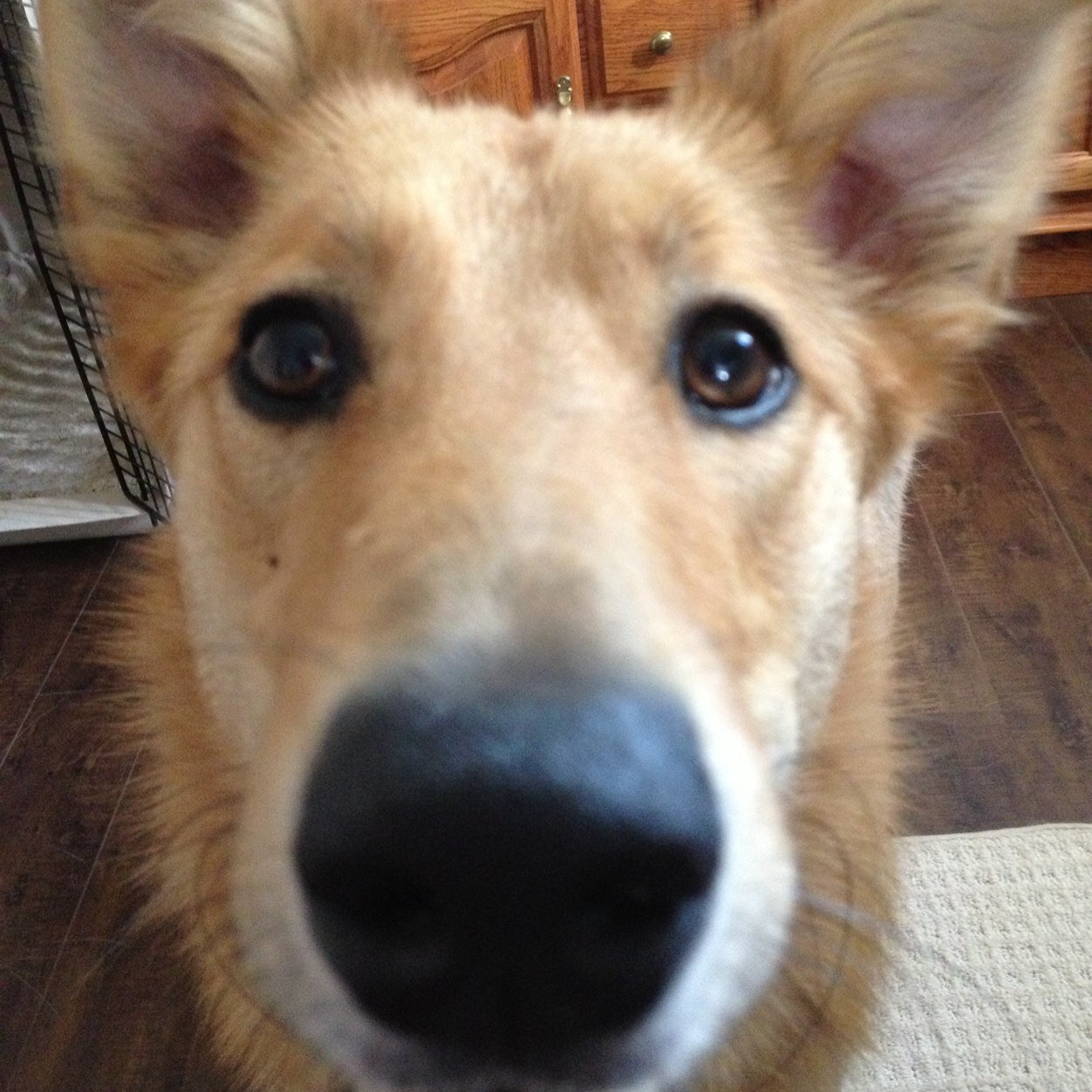 suemarchiolli's profile picture. 