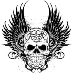 admefast7's profile picture. 