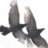 InsightEating's profile image