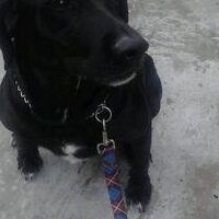 Neil schoolnik (@neilschoolnik) 's Twitter Profile