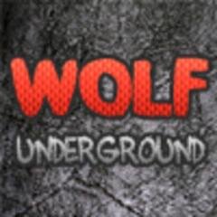 Aspiring producer, hiphop and some electronic, my name is wolfunderground, or Wolf if you prefer. And that's it.