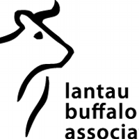 Lantau Buffalo(@LantauBuffalo) 's Twitter Profileg