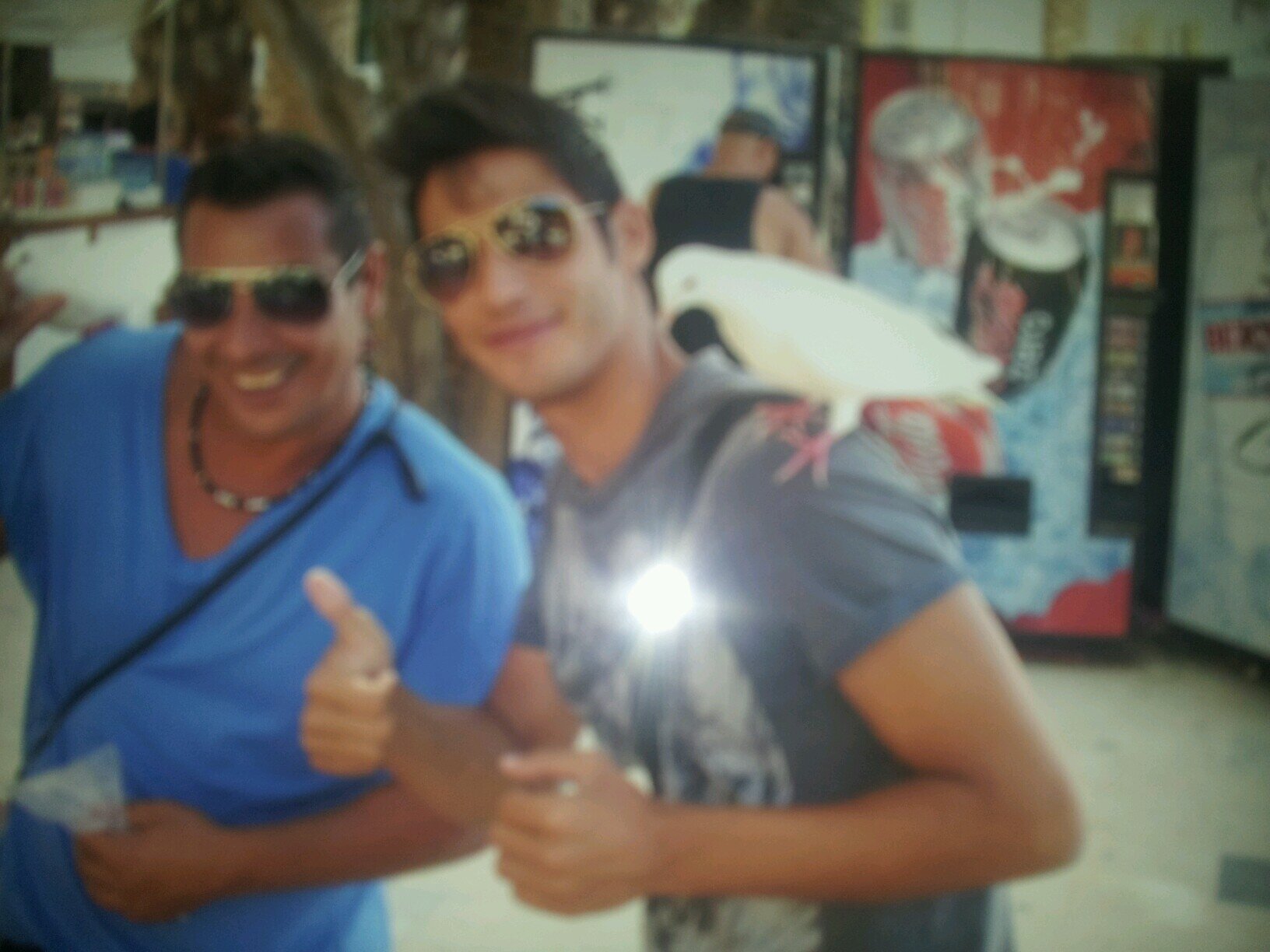 josele429's profile picture. 