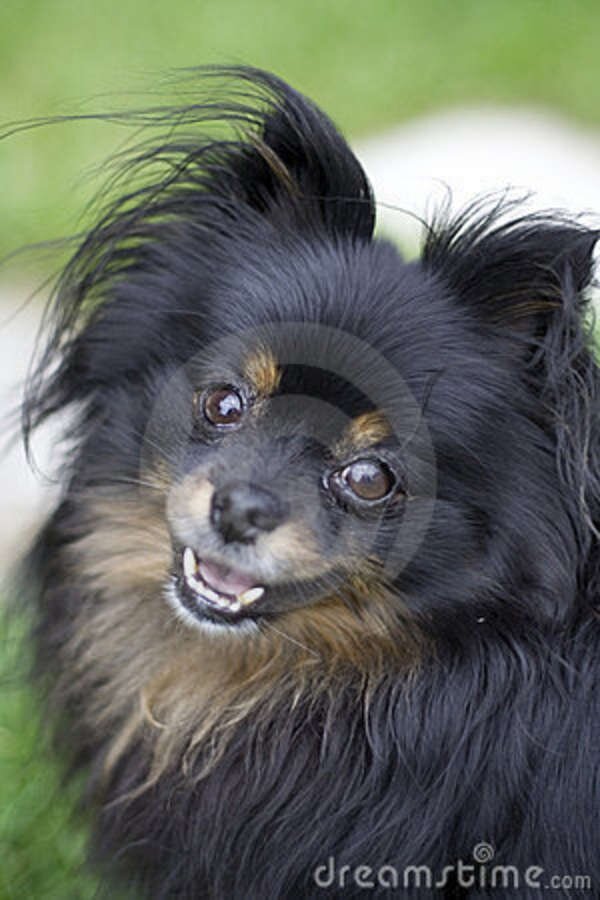 UnthinkableDior's profile picture. 