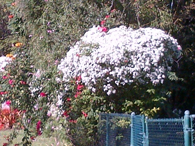 dowdy_doc's profile picture. 