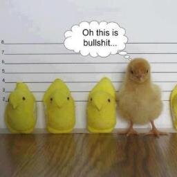 sandrawiegard's profile picture. Cross between McGyver, Indiana Jones and Mary Poppins. Professional Gate Keeper, Cat Herder, and all around get shit done EXPERT. Luv Dogs, Sports, and Whiskey