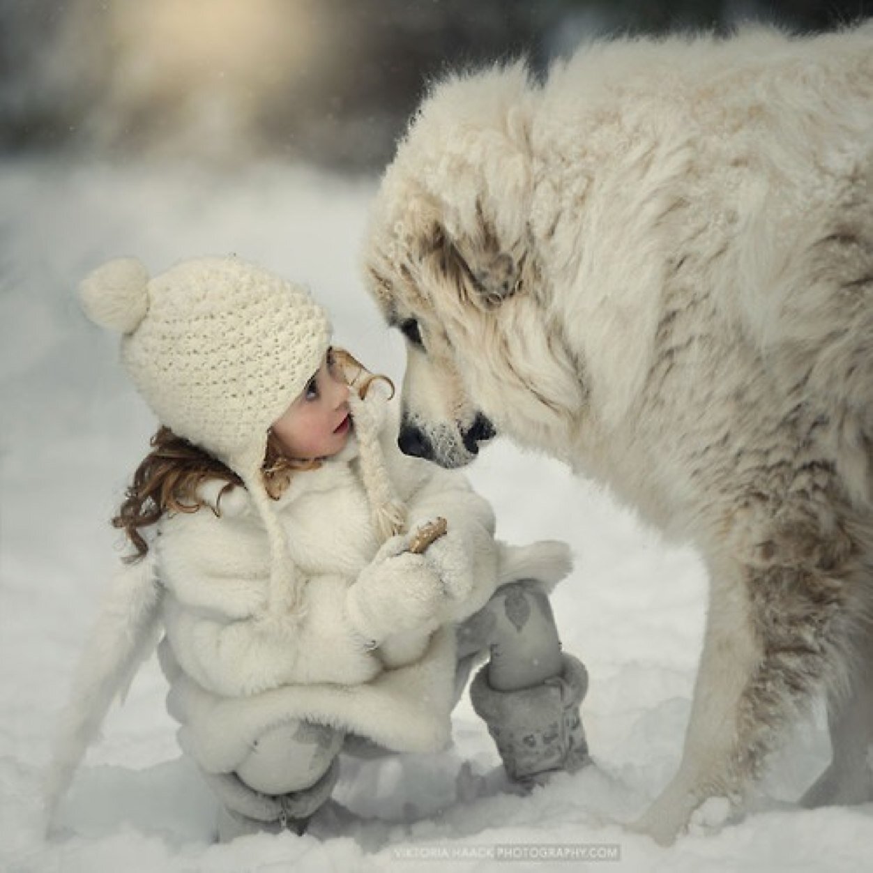 تعجبك صوره وبتحطونها اڤاتار او هيدر منشن لي بس عشان اكمل انزل صور ، ادعموني برتويت ❤️❤️❤️