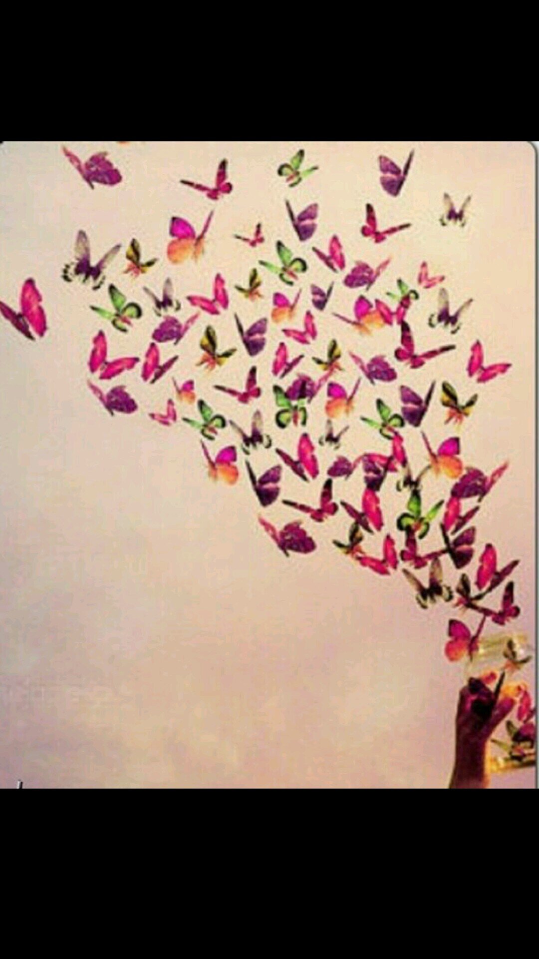 asd8all's profile picture. 