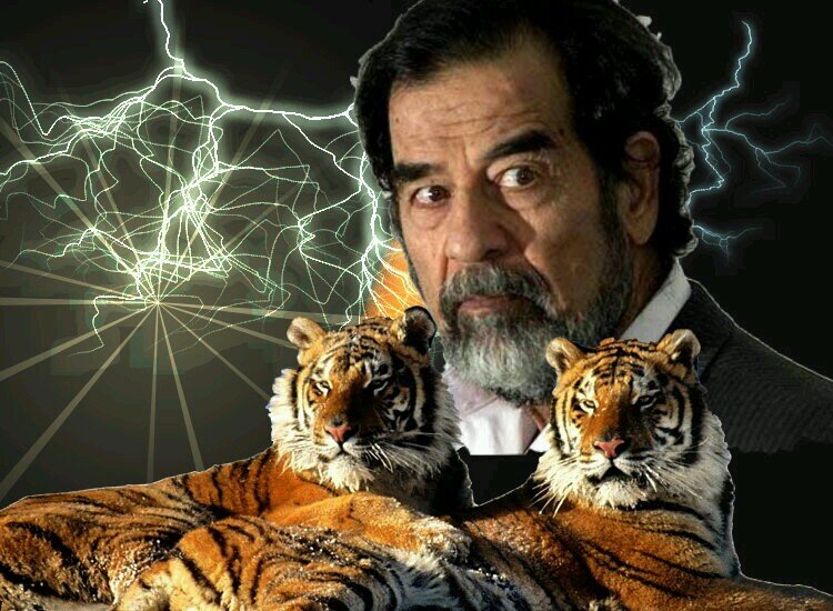 ‏عفـواً إذا غـدت العروبـةَ نعجةً.....وحمـاةُ أهليـها الكـرام ذئـابا