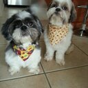 Edwin Noel - @enfq - Twitter