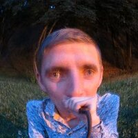 frets (@leolepp) 's Twitter Profile