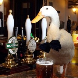 JRayCher's profile picture. D'aucuns ont des aventures.