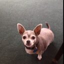 Donna Knott - @knott_donna - Twitter